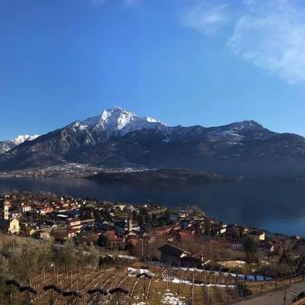 Wine Tour and Tasting Experience at Como Lake Winery in Domaso