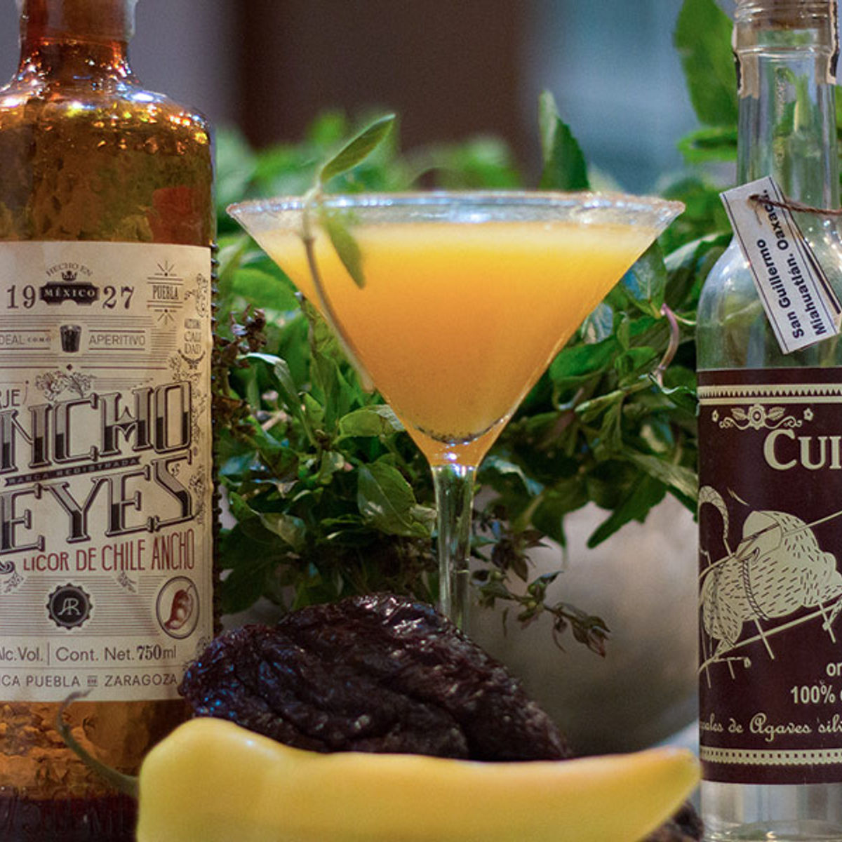 Drinking School: Cocktail & Appetizer Class in Playa del Carmen