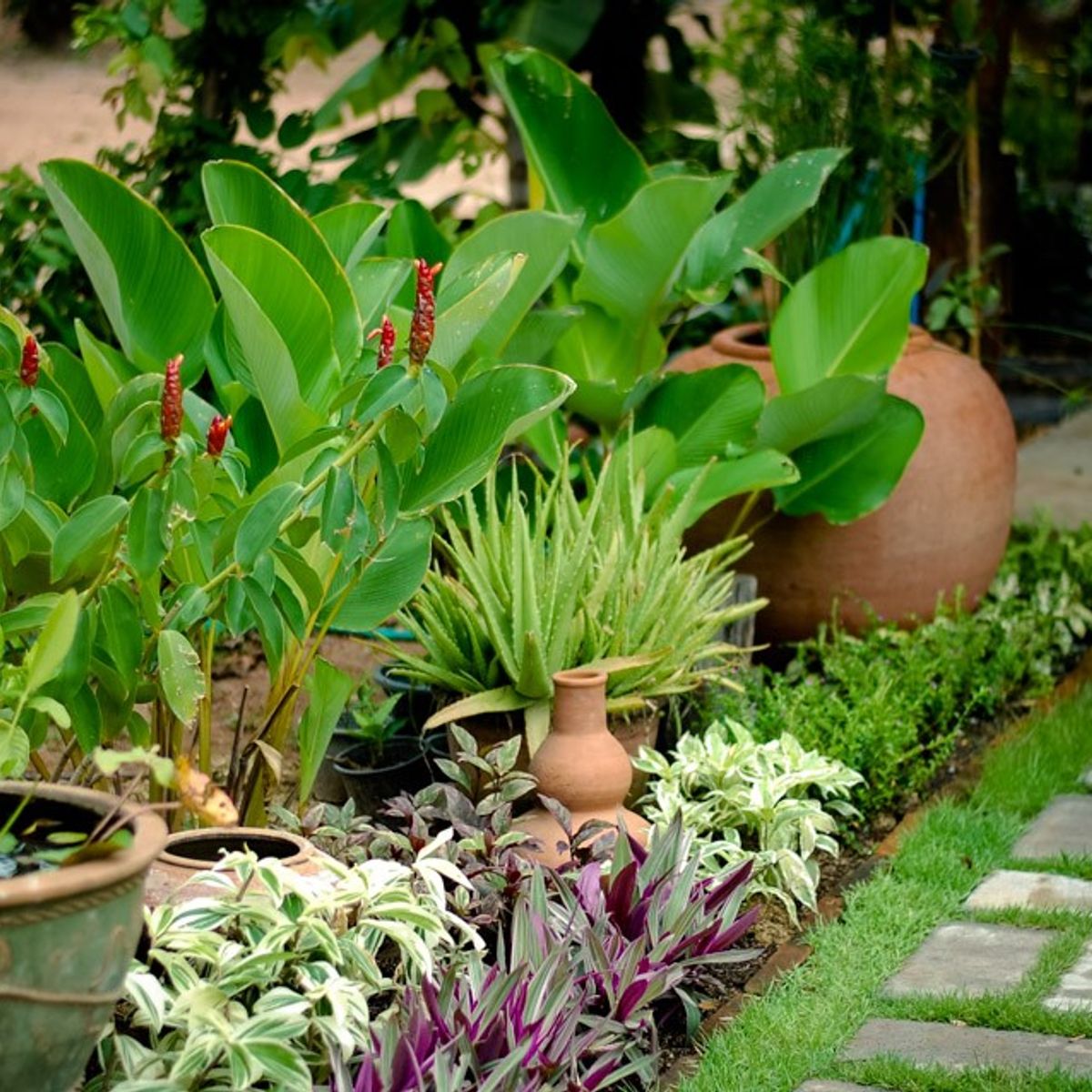 Authentic Thai Cooking in a Garden with Easy and Simple Recipe
