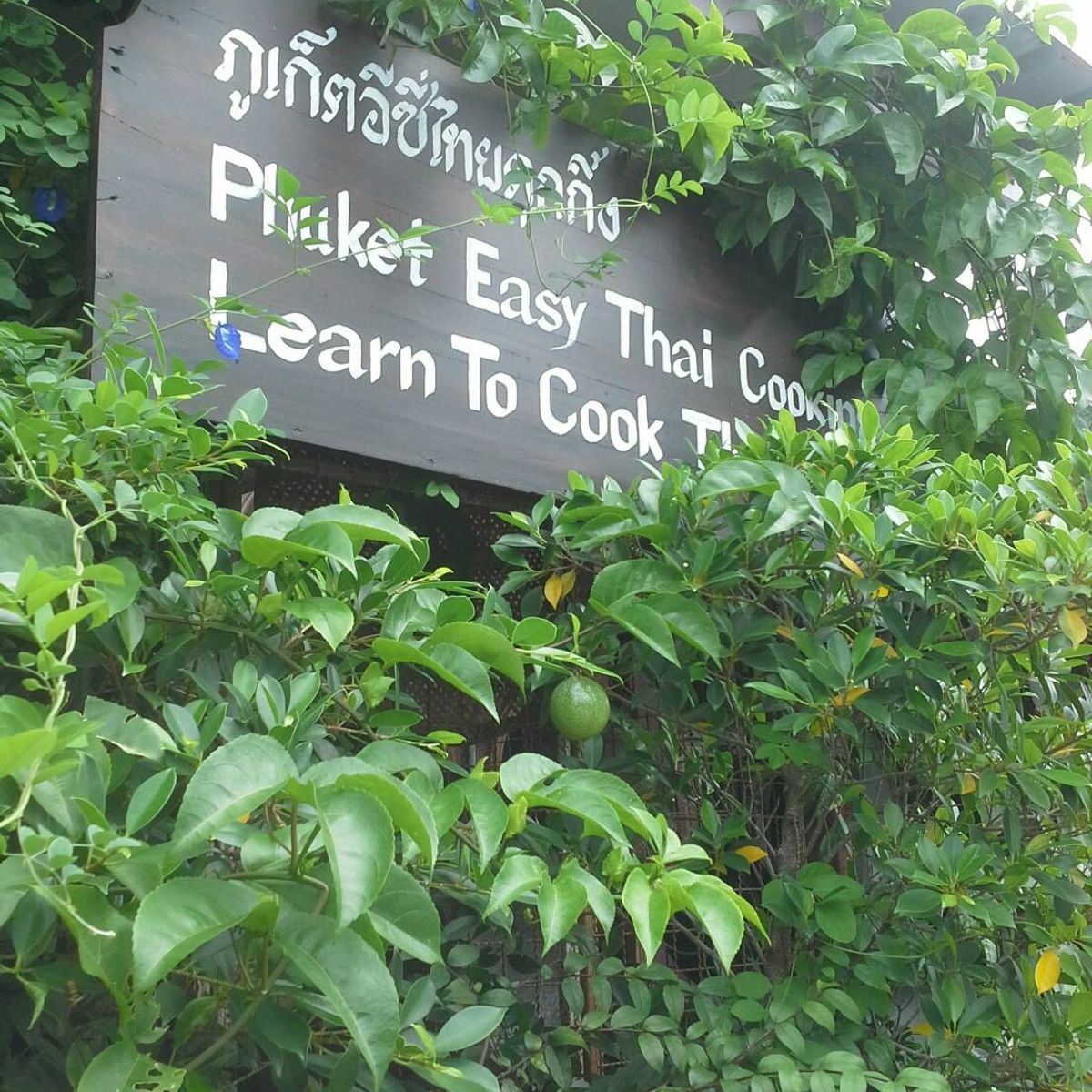 Cours de cuisine thaïlandaise facile d'une demi-journée et visite du marché