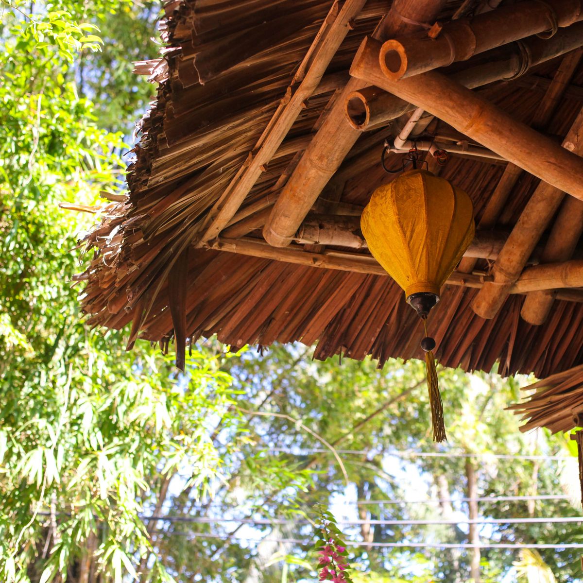 Vietnamese Cooking Class with Market Tour & Farming Experience
