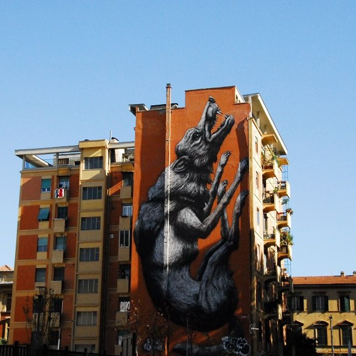 Eating Testaccio: Market Tour and Food tasting