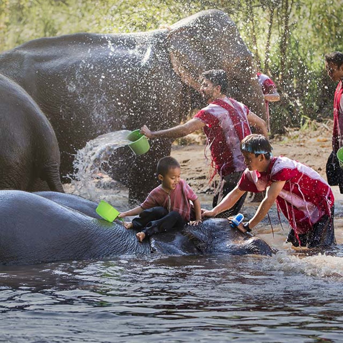 Adventurous, Delicious, Ecological & Cultural: The Full Karen Eco Lodge Experience (3 Days 2 Nights)
