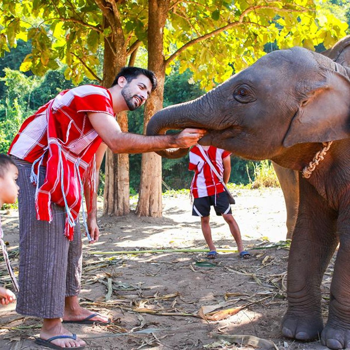 Adventurous, Delicious, Ecological & Cultural: The Full Karen Eco Lodge Experience (3 Days 2 Nights)
