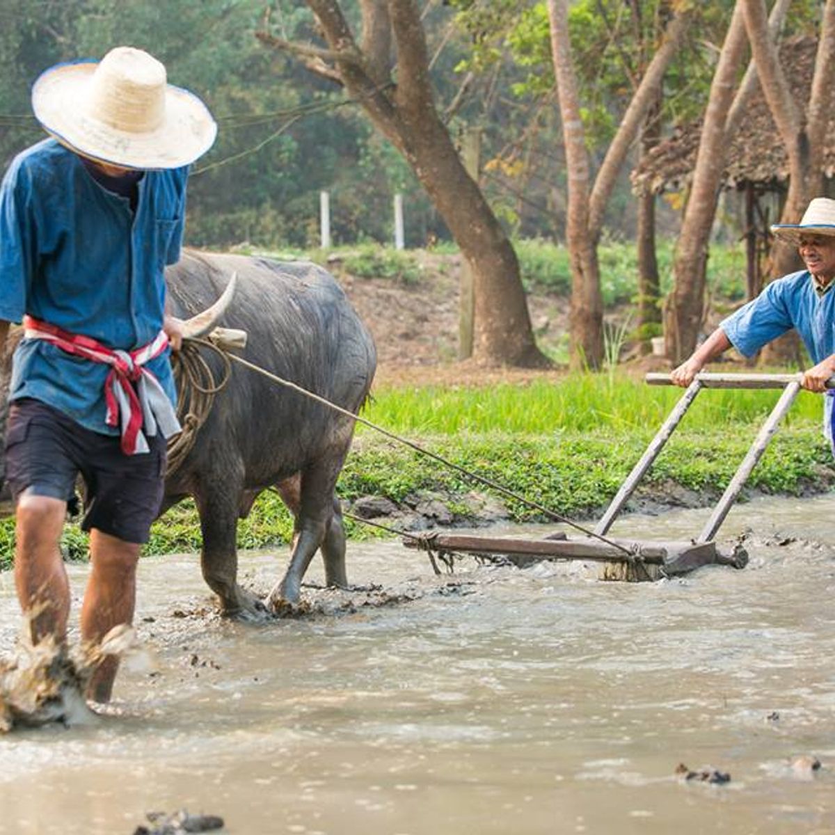 Adventurous, Delicious, Ecological & Cultural: The Full Karen Eco Lodge Experience (3 Days 2 Nights)