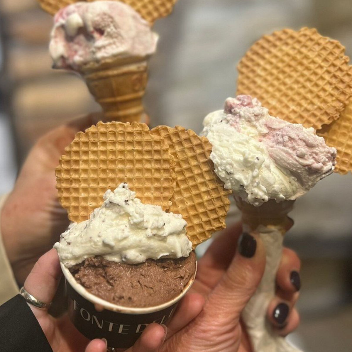 Exclusive Trastevere Food & Wine Experience in Rome