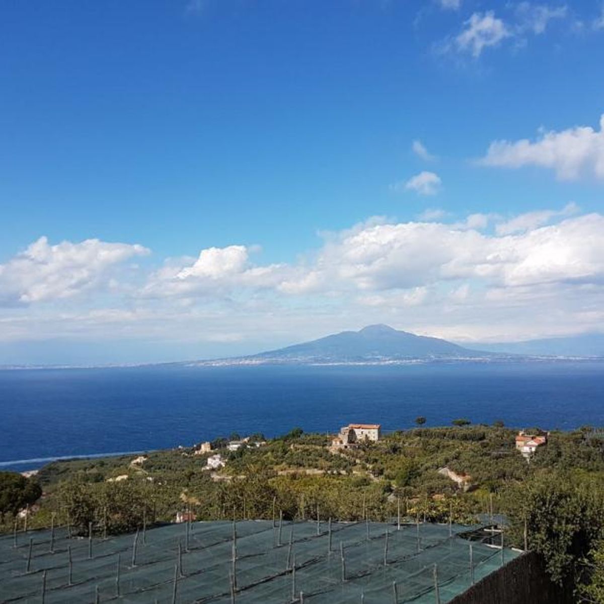 Southern Italian Cooking at Villa del Barone on the Sorrento Coast