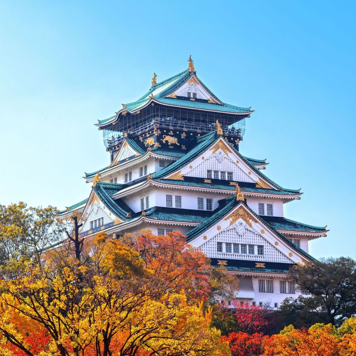 Experience Matcha & Tea Culture in the Heart of Osaka