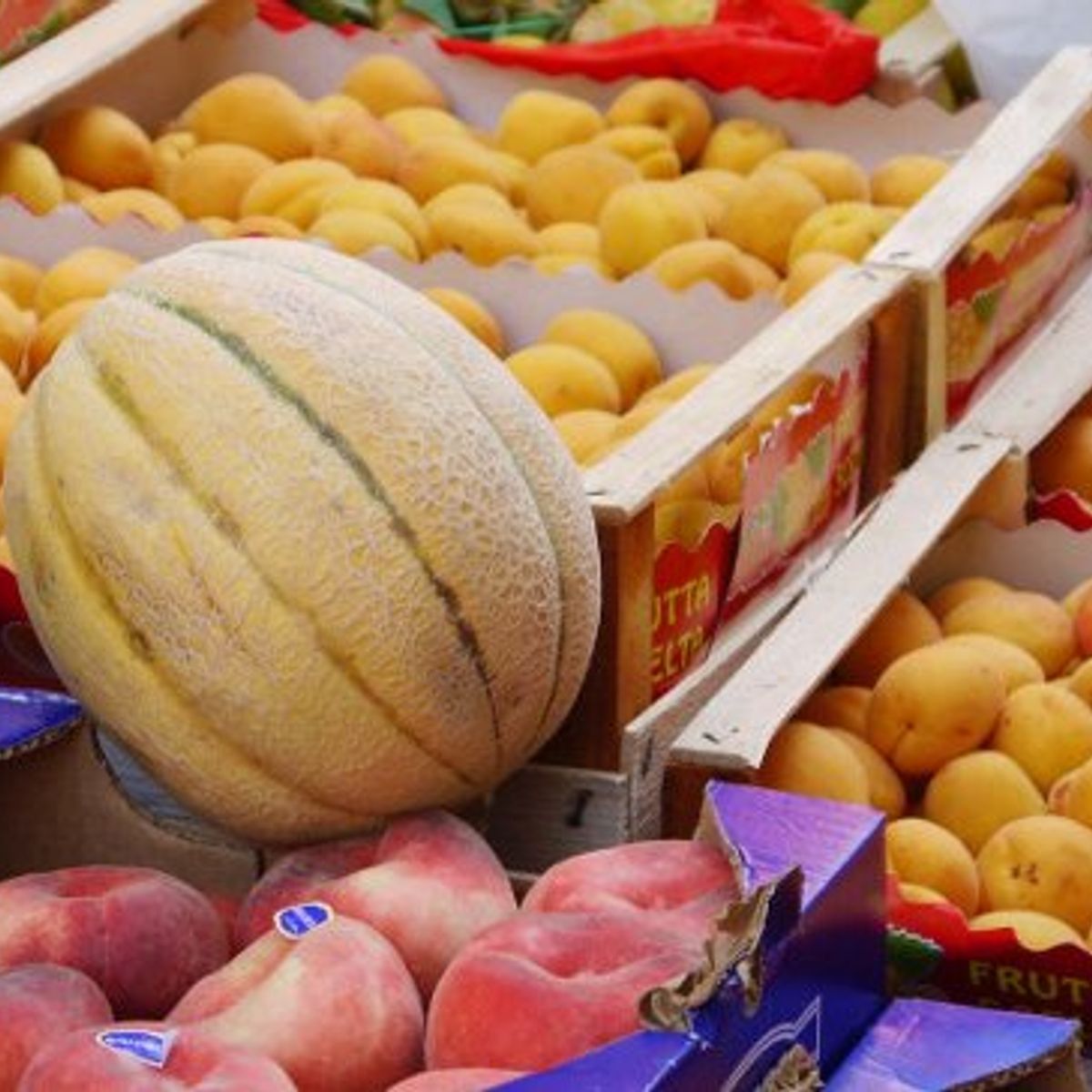 Exploring and taste local food markets with Riccardo