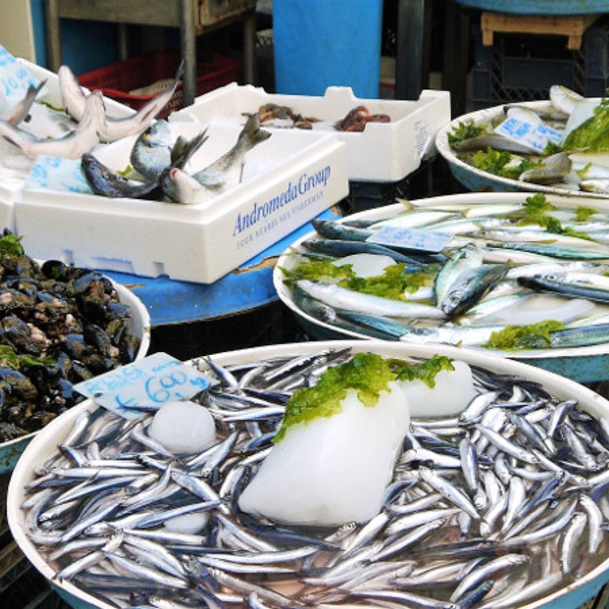 Exploring and taste local food markets with Riccardo
