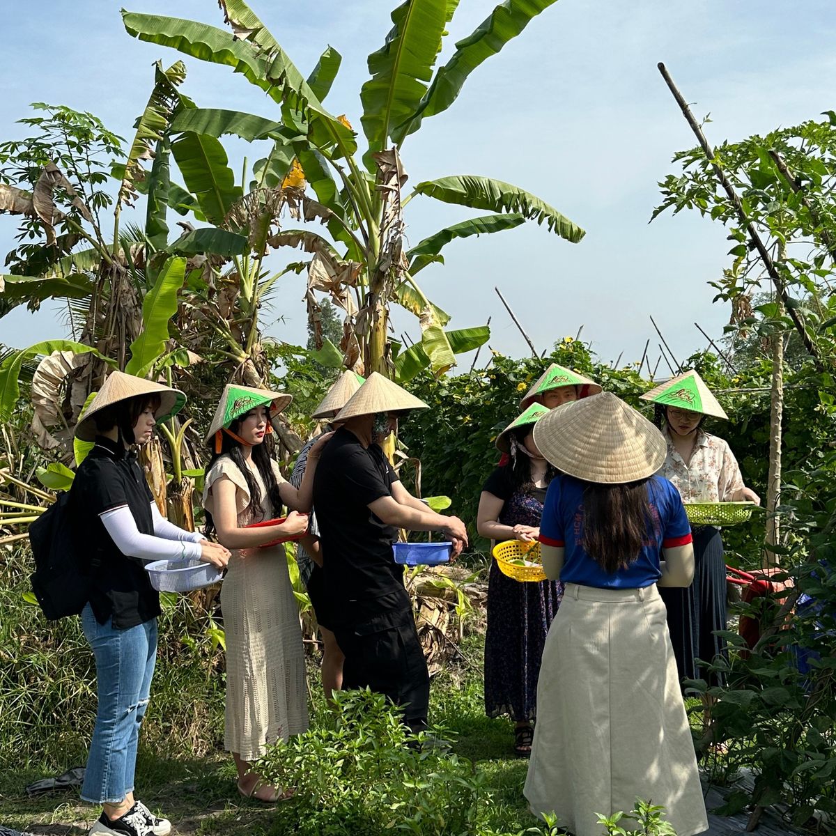 Farm to Table Cooking Class in Organic Farm