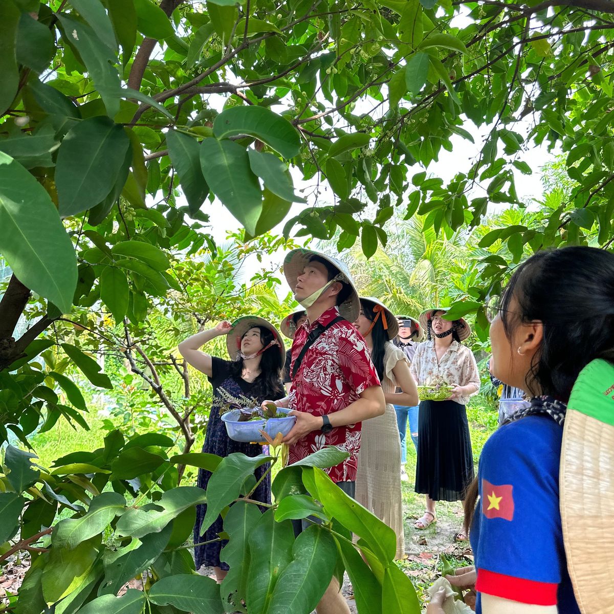 Farm to Table Cooking Class in Organic Farm