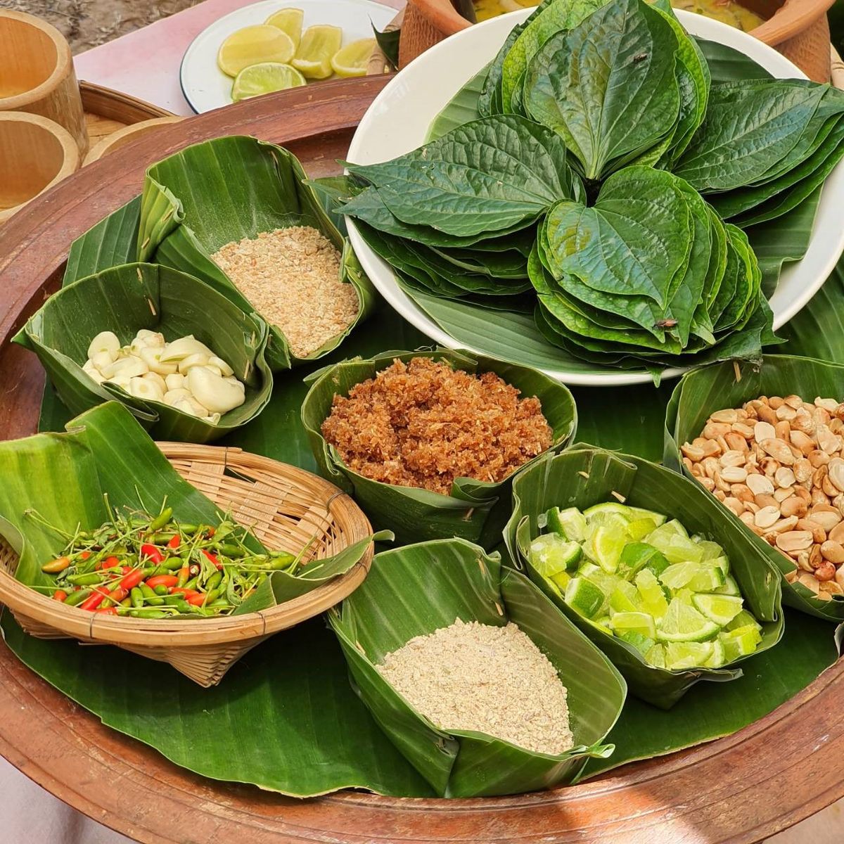 Farm to Table: Cooking at Organic Farm in Chiang Mai Forest