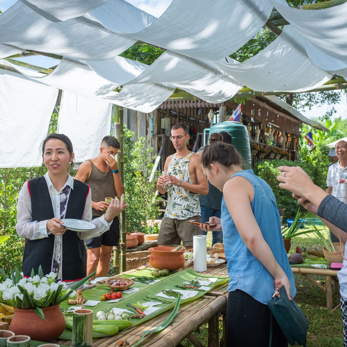 Farm to Table: Cooking at Organic Farm in Chiang Mai Forest
