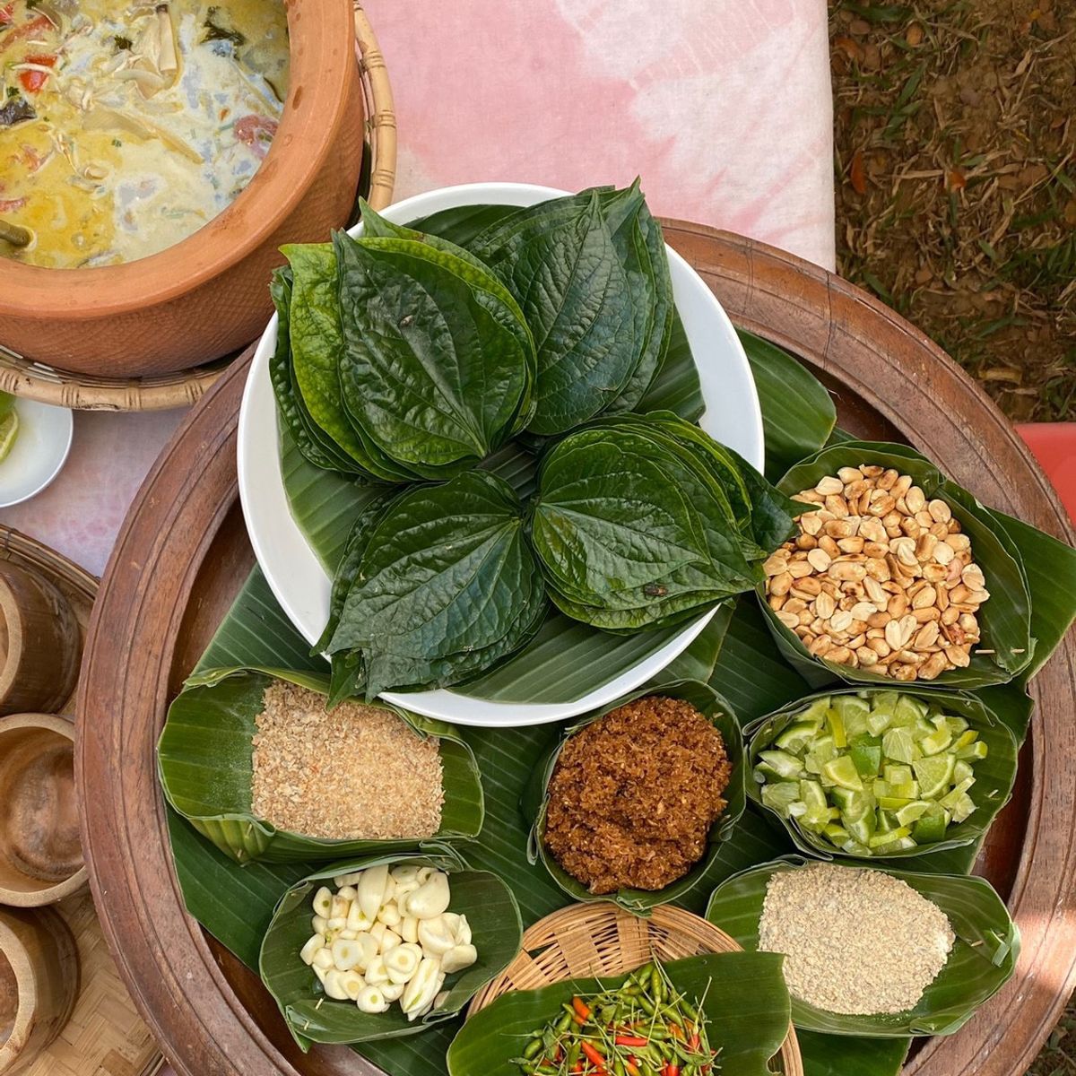 Farm to Table: Cooking at Organic Farm in Chiang Mai Forest