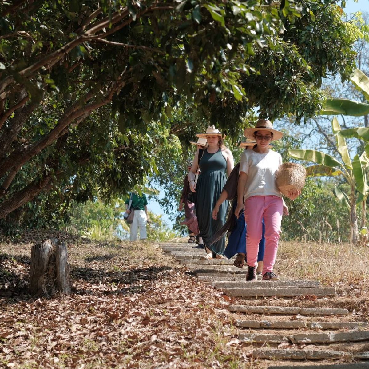 Farm to Table: Cooking at Organic Farm in Chiang Mai Forest