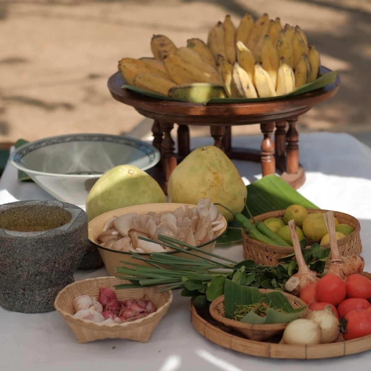Farm to Table: Cooking at Organic Farm in Chiang Mai Forest