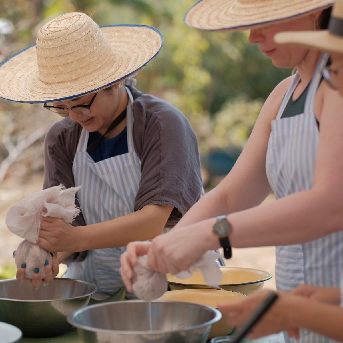 Farm to Table: Cooking at Organic Farm in Chiang Mai Forest