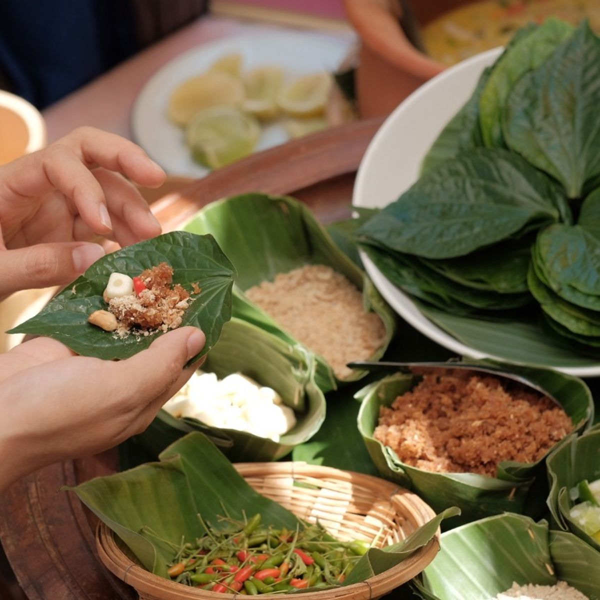 Farm to Table: Cooking at Organic Farm in Chiang Mai Forest
