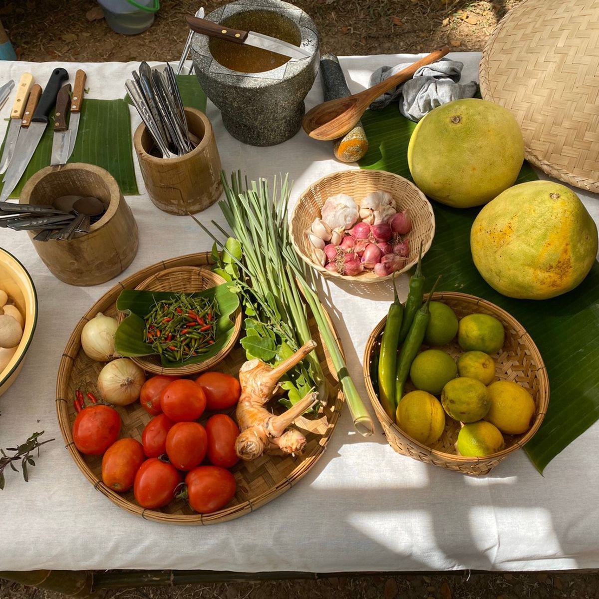 Farm to Table: Cooking at Organic Farm in Chiang Mai Forest