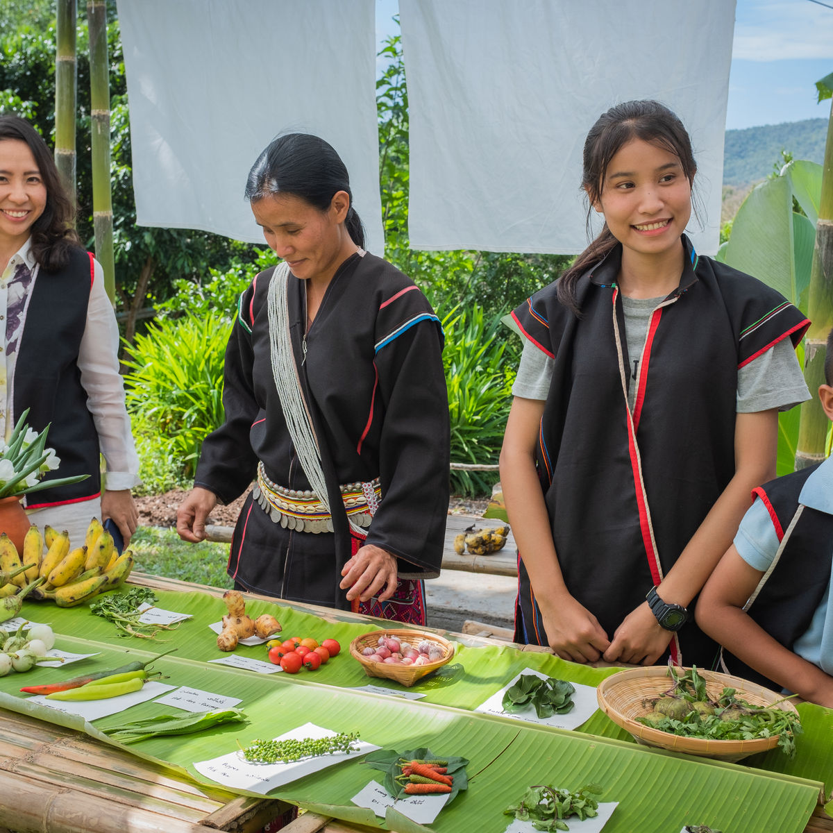 Farm to Table: Cooking at Organic Farm in Chiang Mai Forest