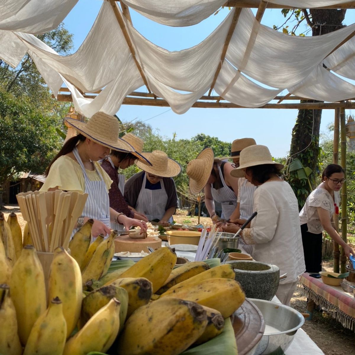 Farm to Table: Cooking at Organic Farm in Chiang Mai Forest