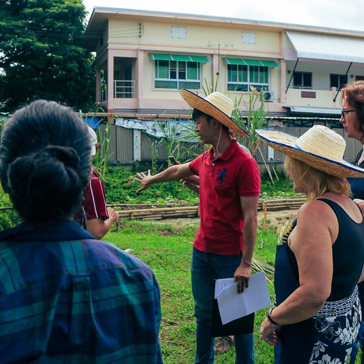 Expérience de cuisine bio à la ferme d'une demi-journée à Chiang Mai