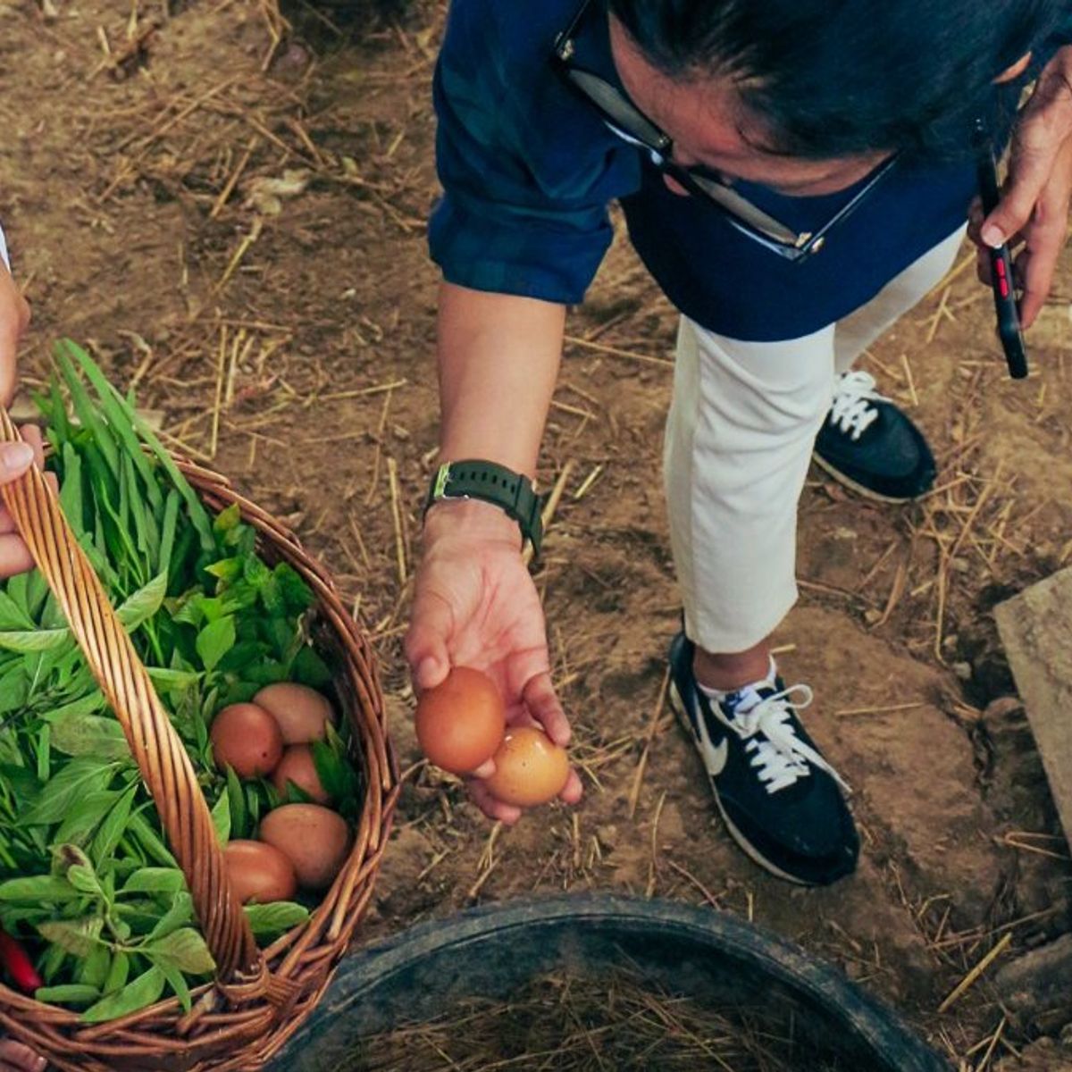 Expérience de cuisine bio à la ferme d'une demi-journée à Chiang Mai