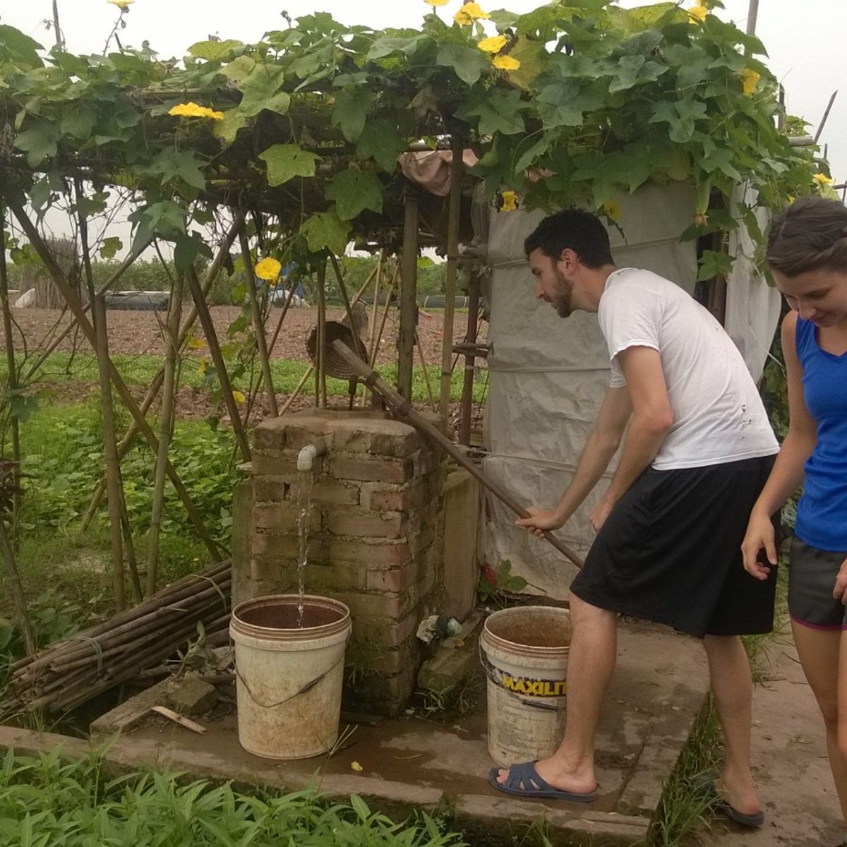 Farm Tour and Private Home Cooking Class with Local Family