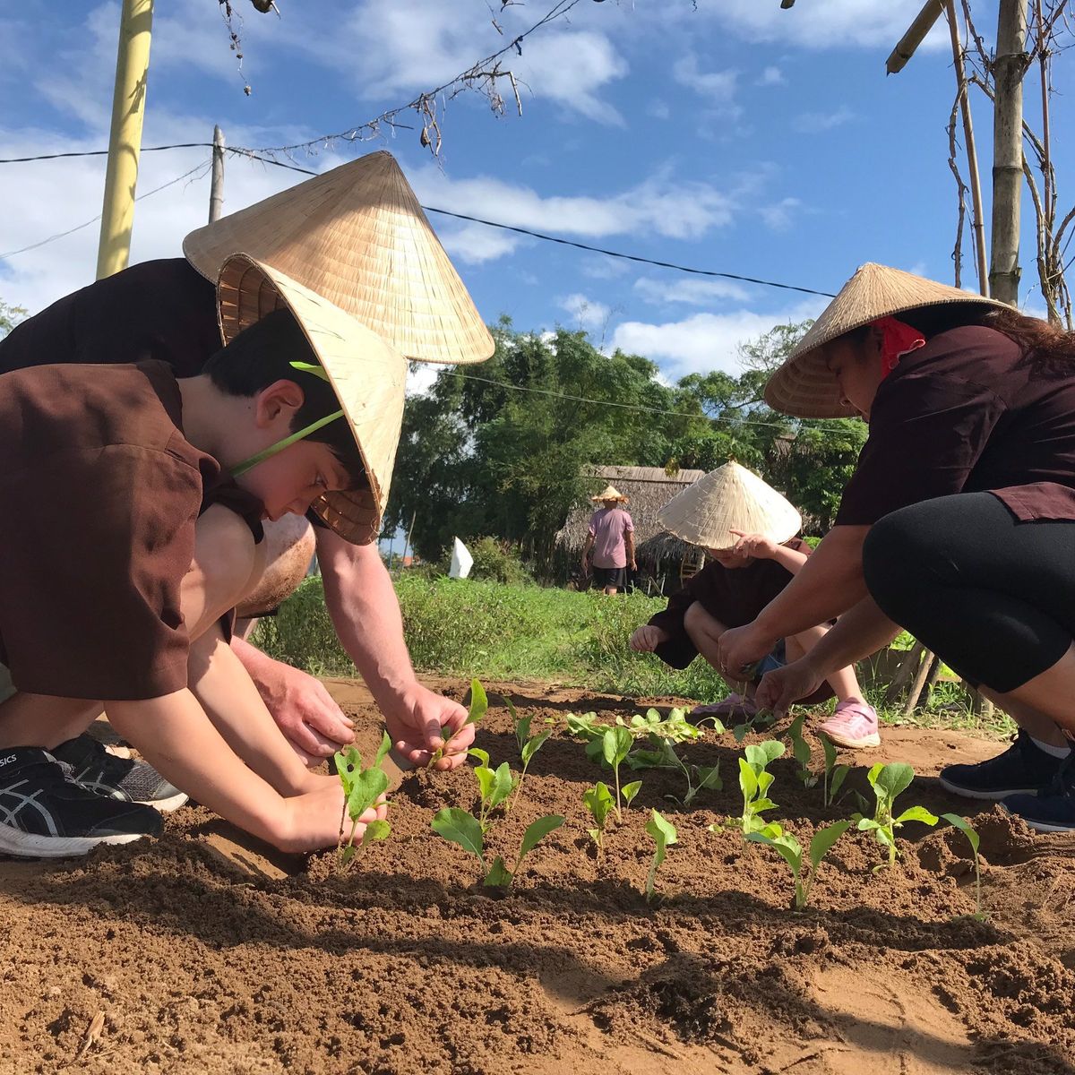 Farming and Cooking Experience in Tra Que Herb Village