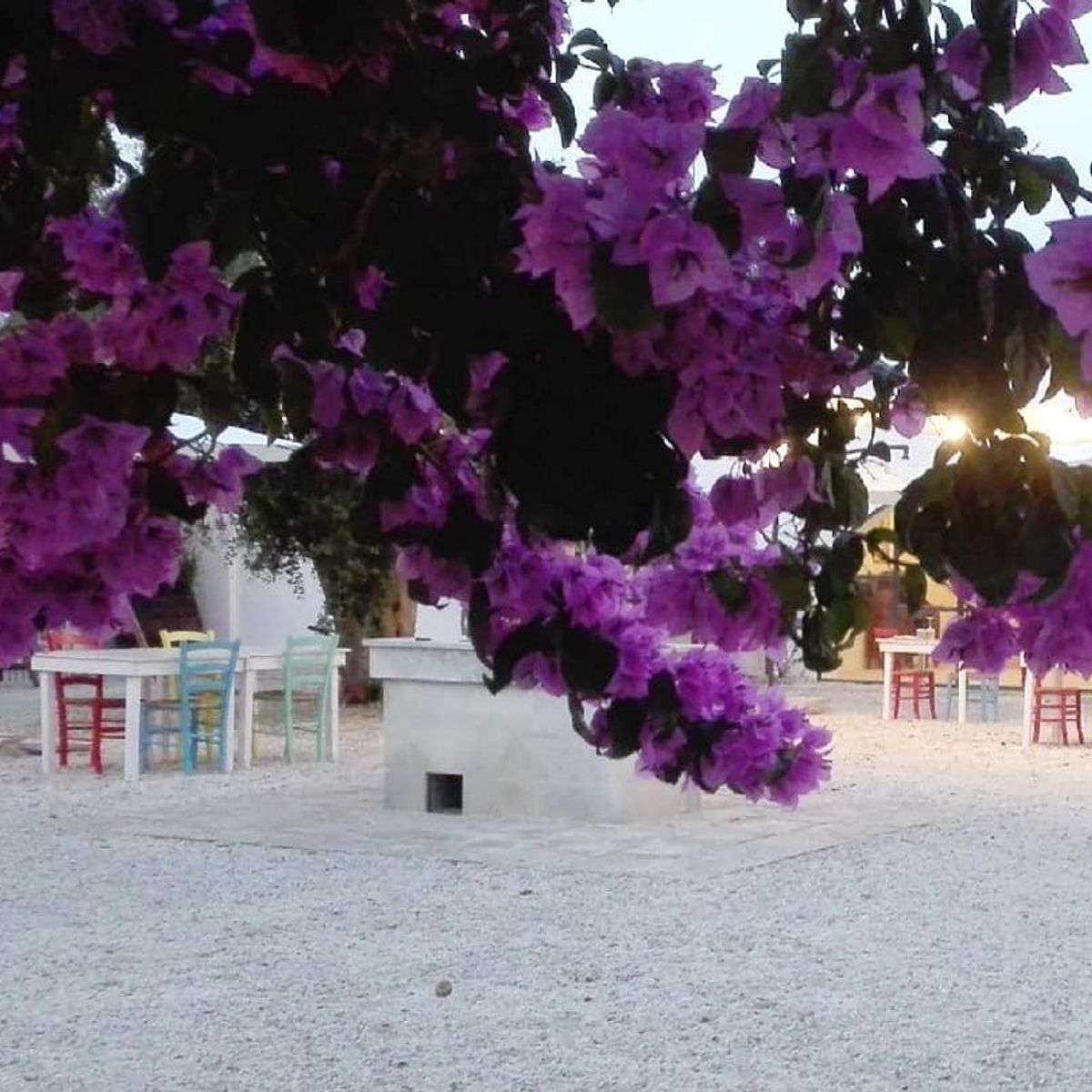 An Authentic Culinary Adventure with Local Cuisine and Wine Experience