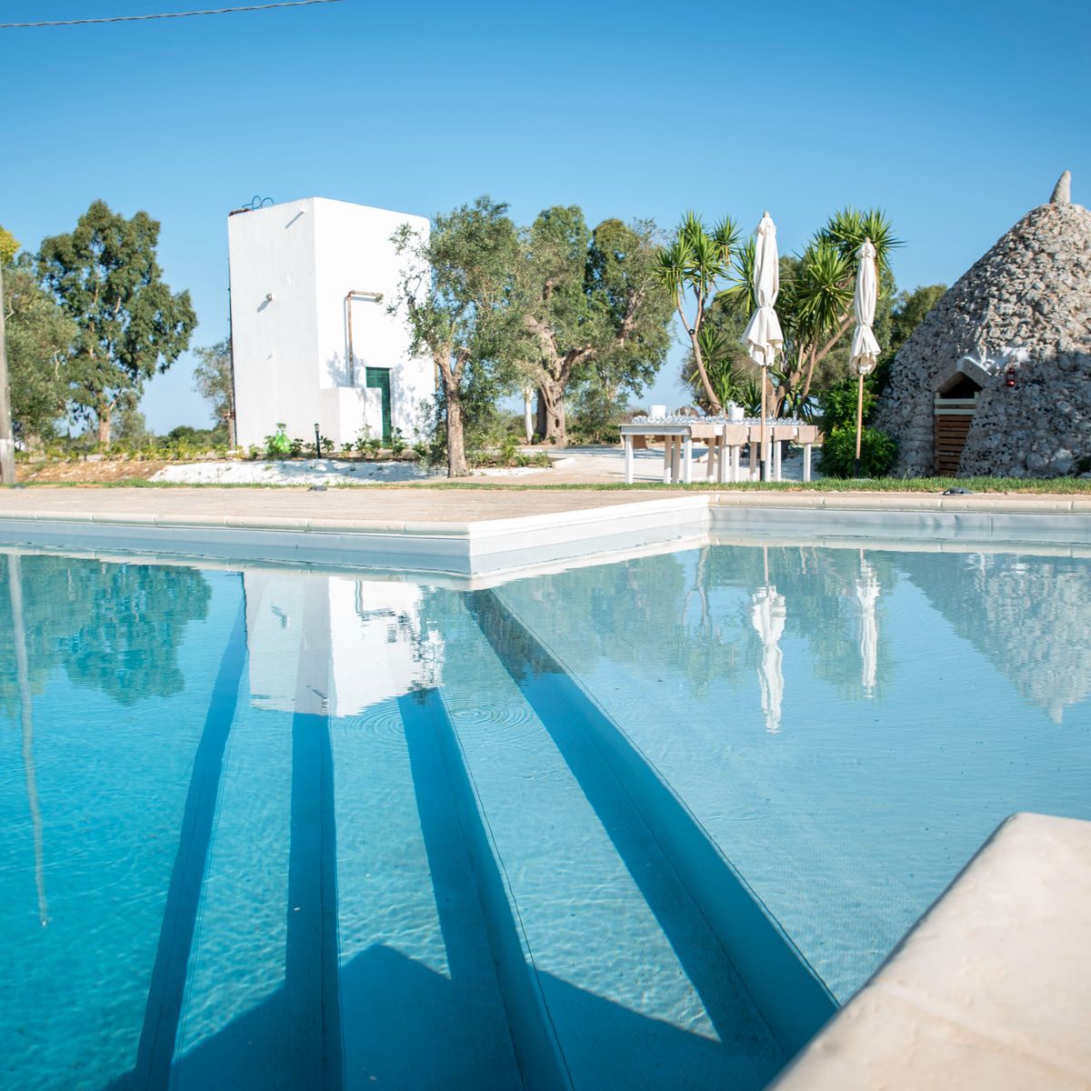 An Authentic Culinary Adventure with Local Cuisine and Wine Experience