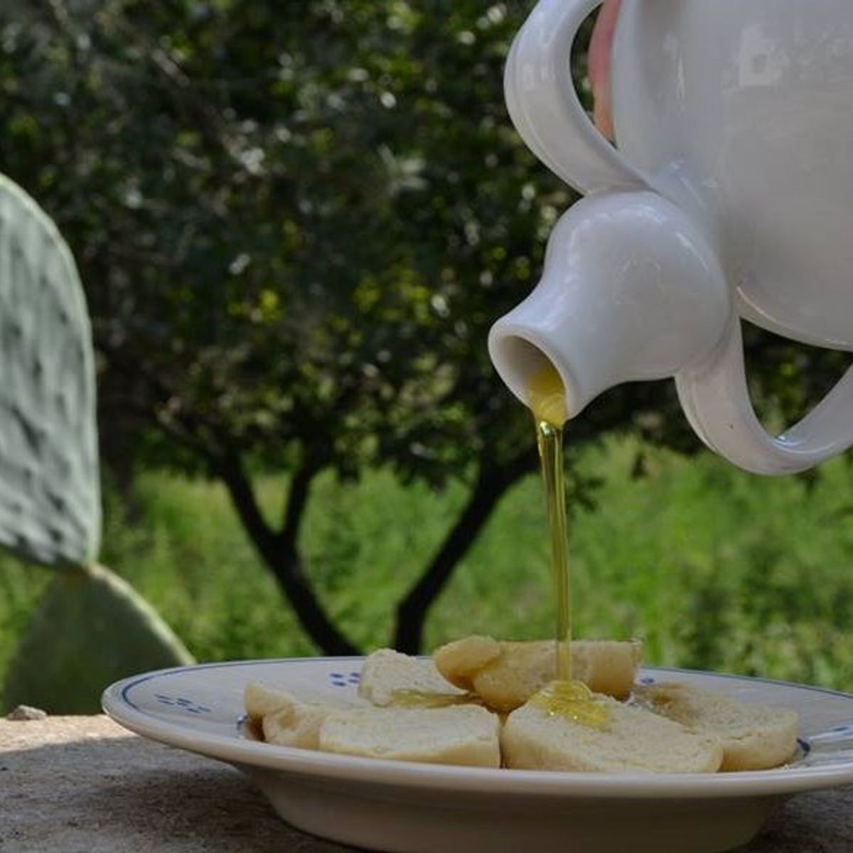 An Authentic Culinary Adventure with Local Cuisine and Wine Experience