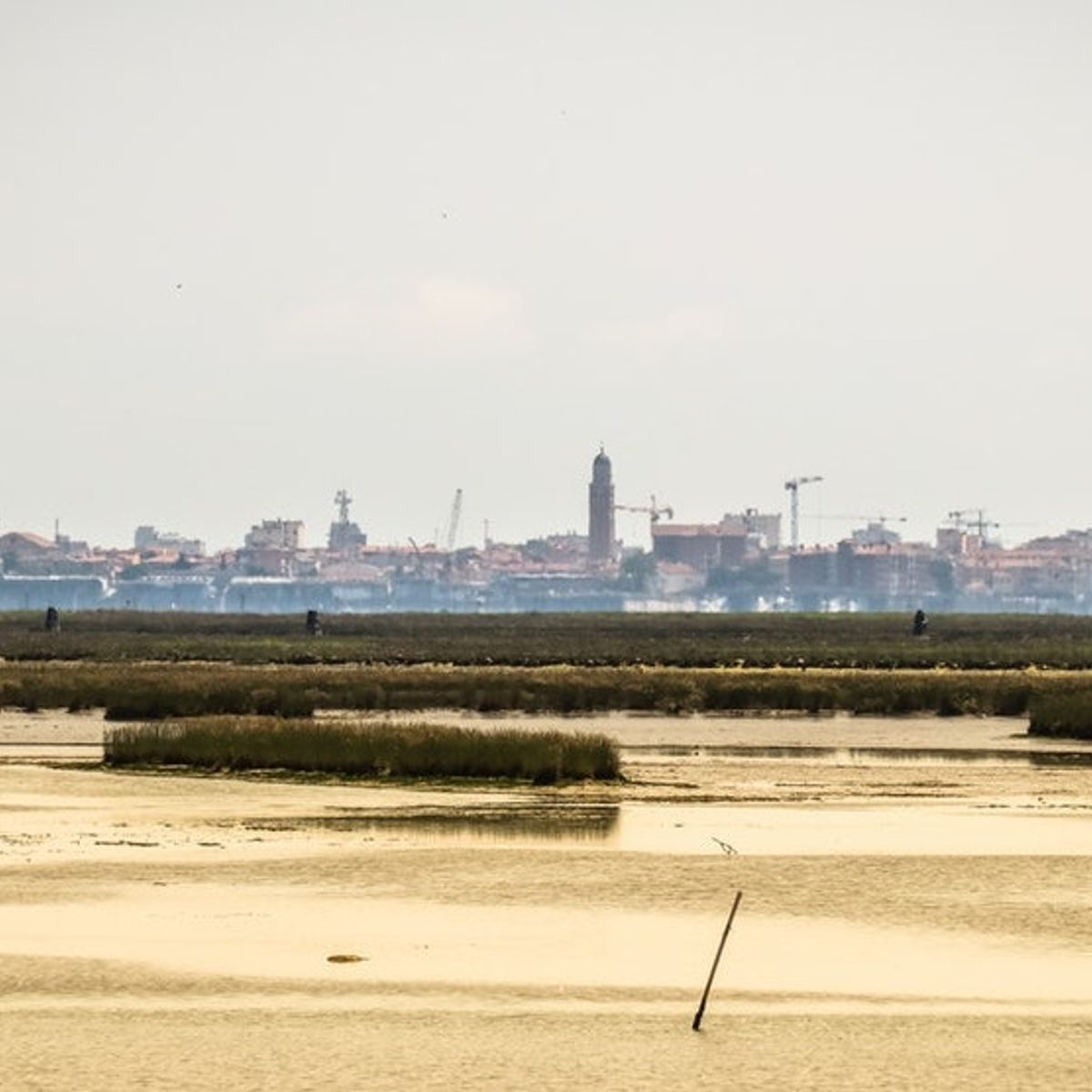 Promenade en bateau et visite gastronomique à Chioggia, près de Venise