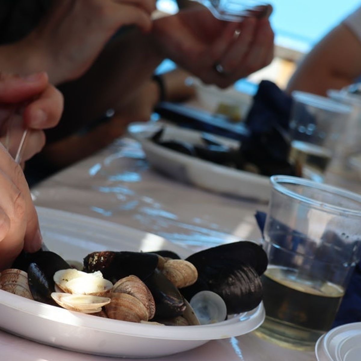 Promenade en bateau et visite gastronomique à Chioggia, près de Venise