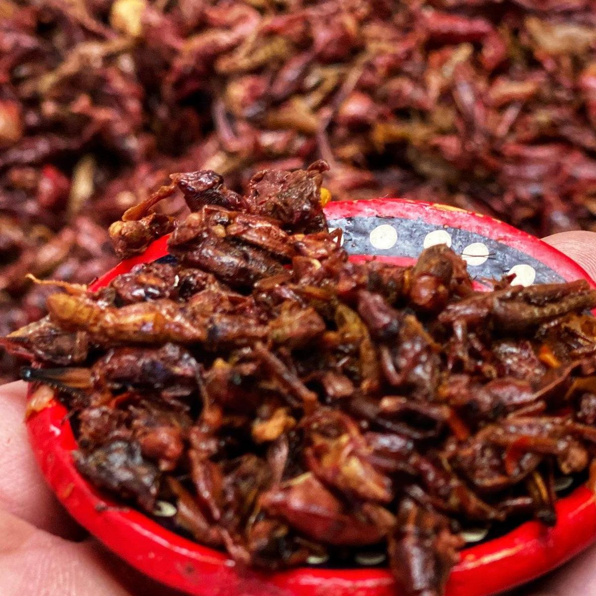 Foodie Tour in Oaxaca, Eat Like a Local.