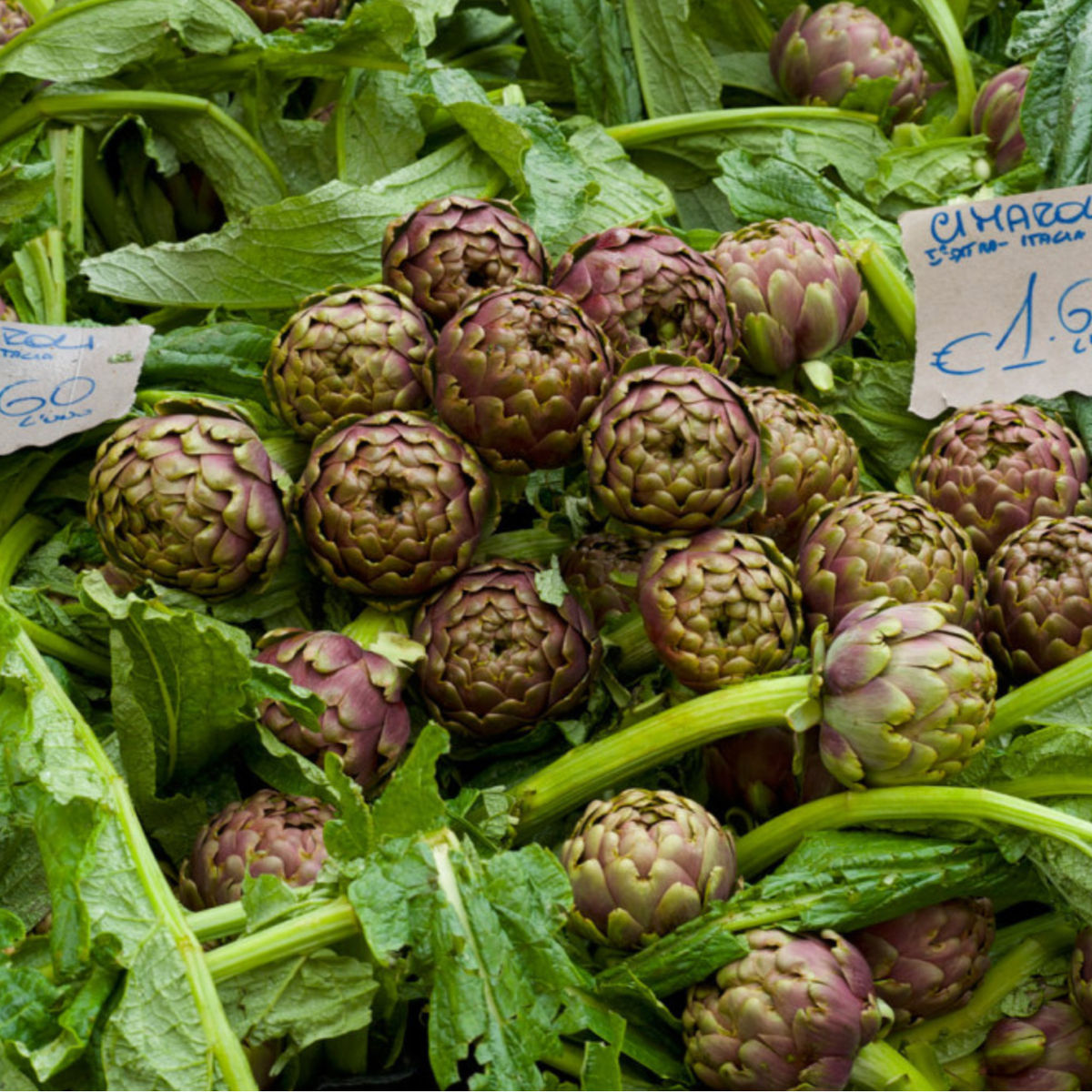 Fresh Market Tour and Luxury Cooking Experience