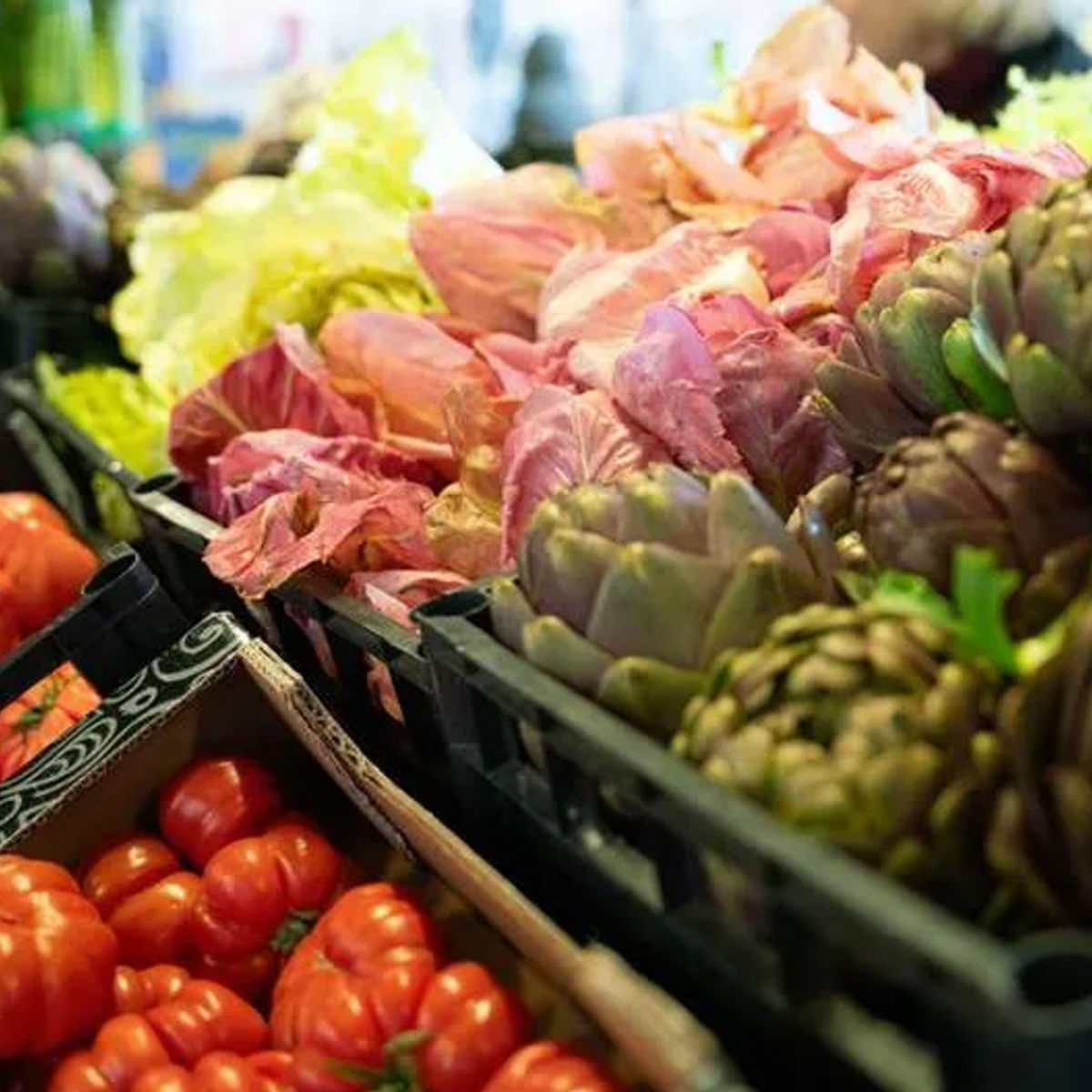 Fresh Pasta Making & Market Experience: A Culinary Journey in Florence