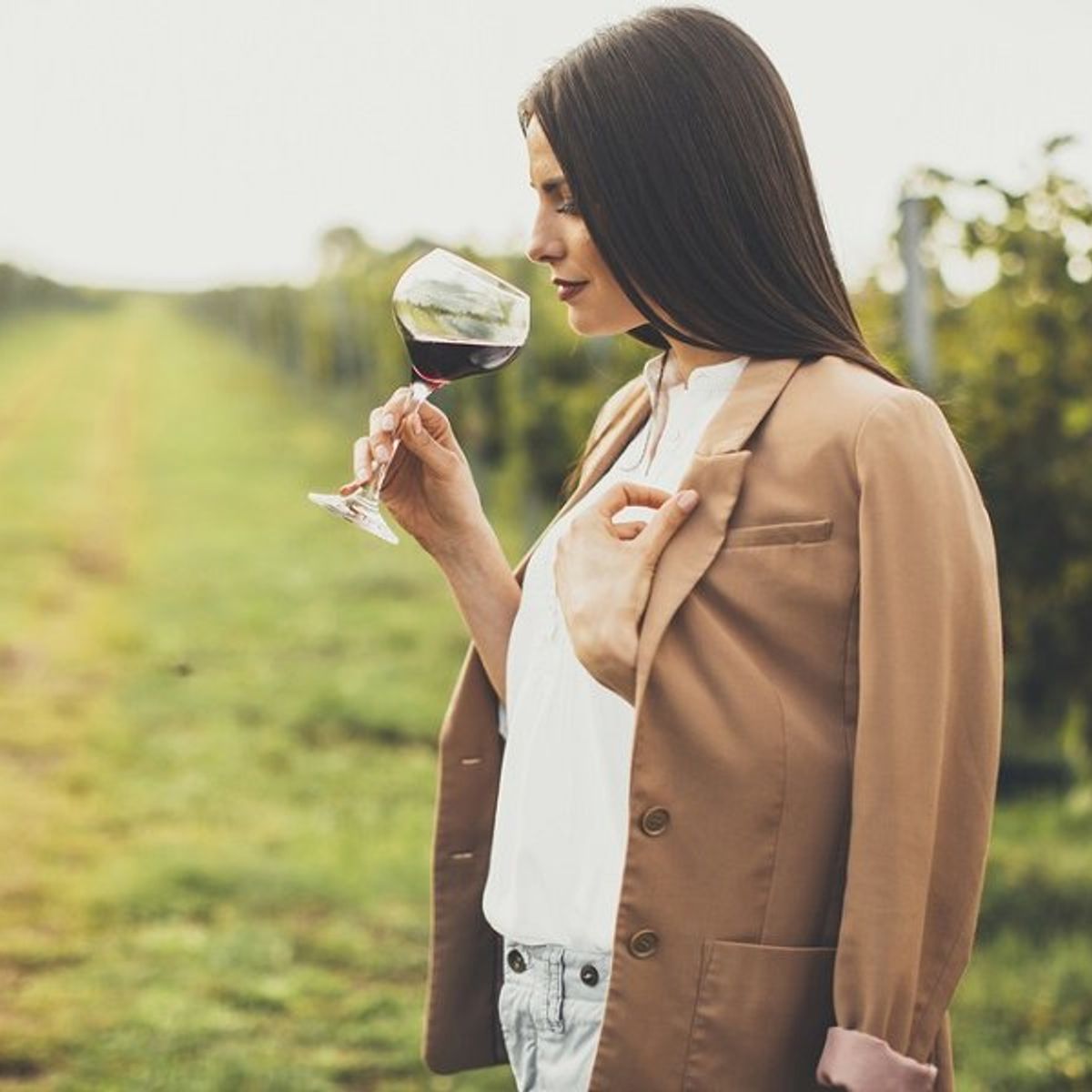 Winery Tour and Wine Tasting in Bologna