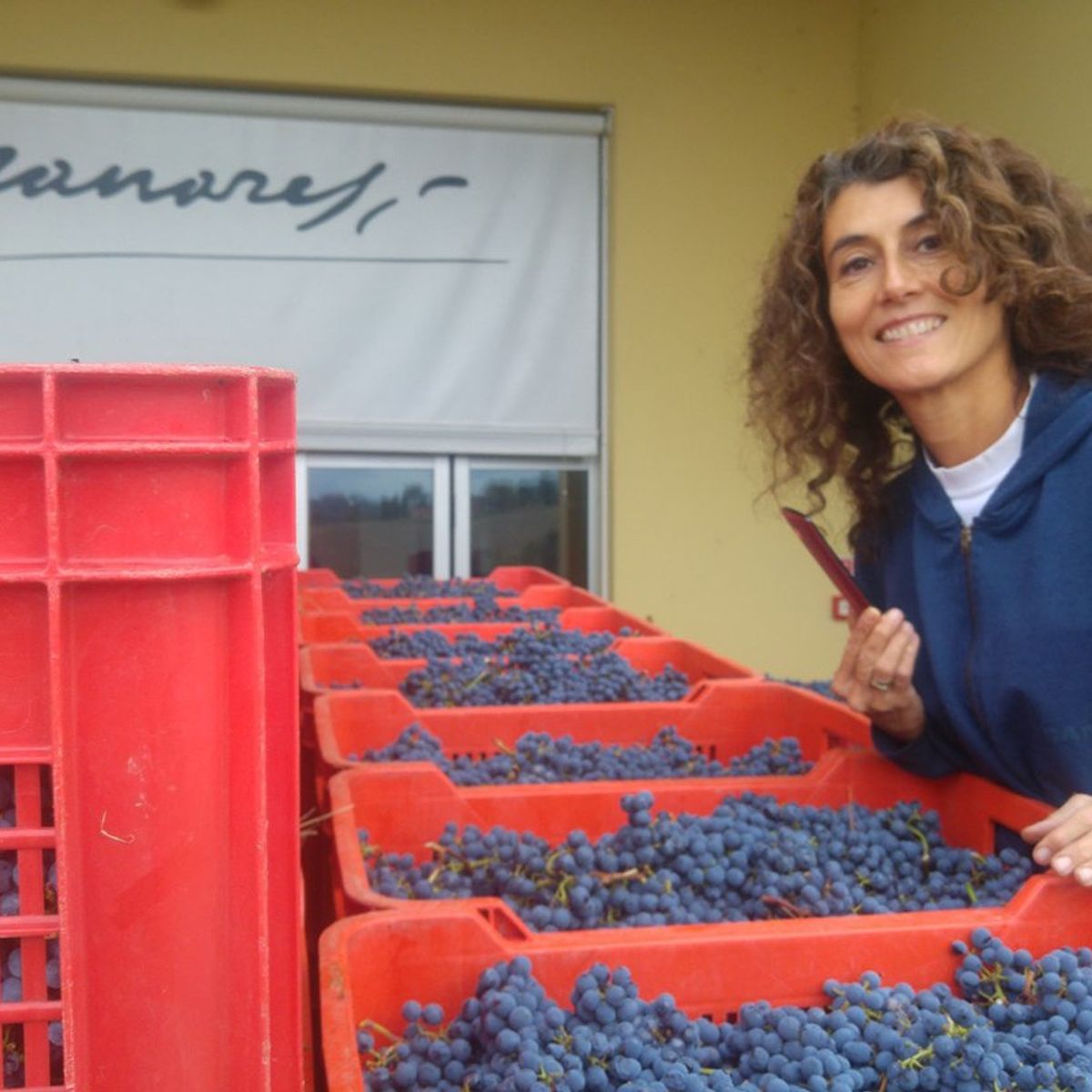 Winery Tour and Wine Tasting in Bologna