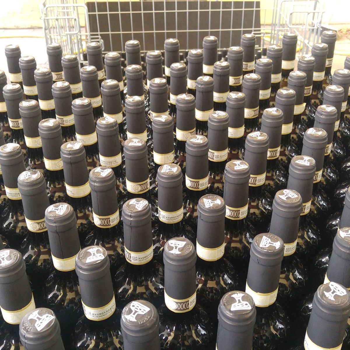 Winery Tour and Wine Tasting in Bologna