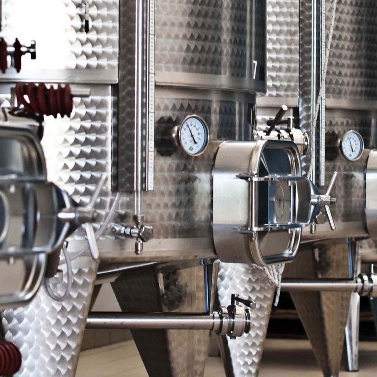 Winery Tour and Wine Tasting in Bologna