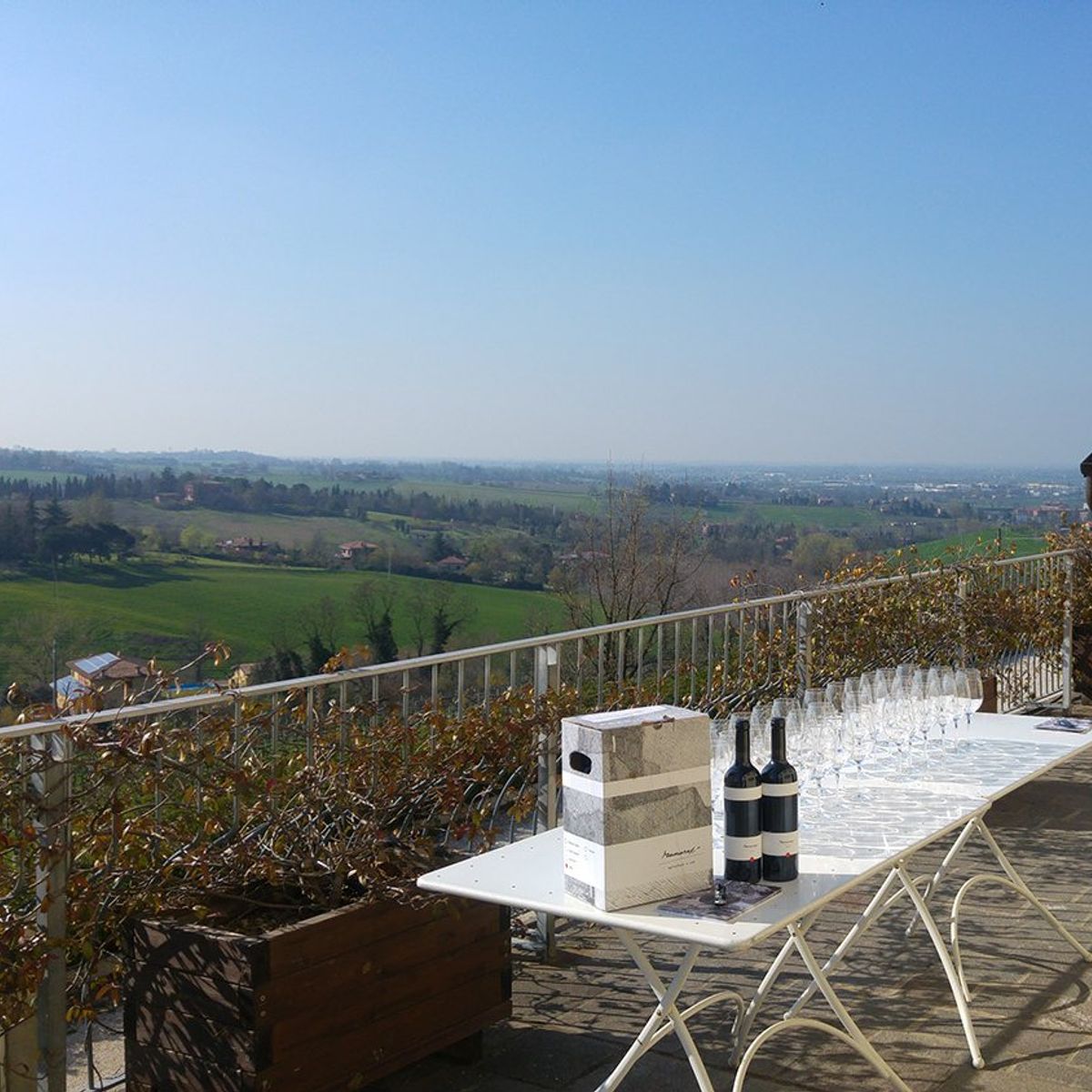 Winery Tour and Wine Tasting in Bologna