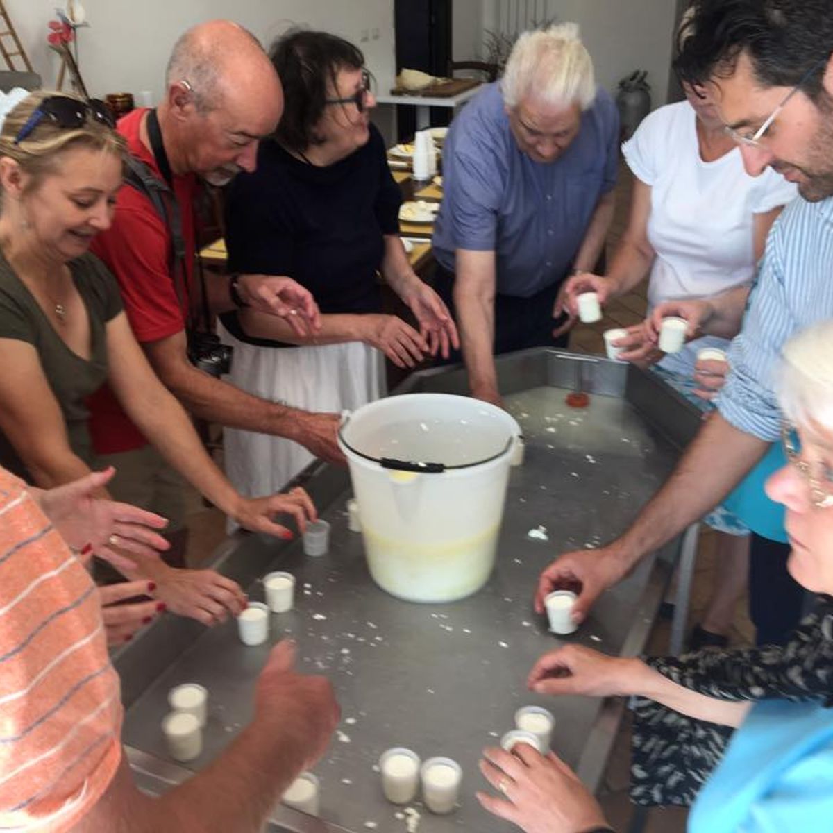Visite d'une ferme fromagère, atelier de fabrication de fromage et dégustation - Cours privé