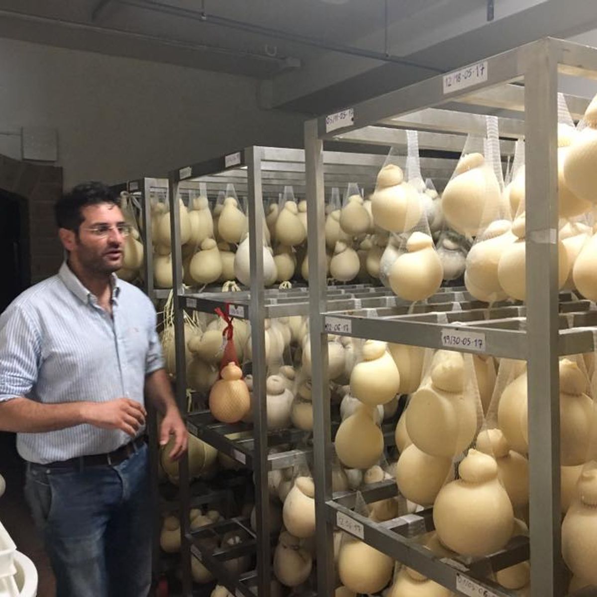 Visite d'une ferme fromagère, atelier de fabrication de fromage et dégustation - Cours privé
