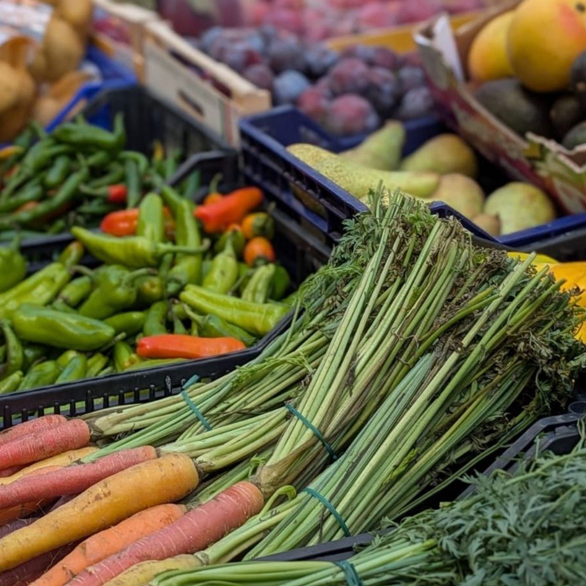 Tuscan Market-to-Table Cooking Experience & Wine Tasting