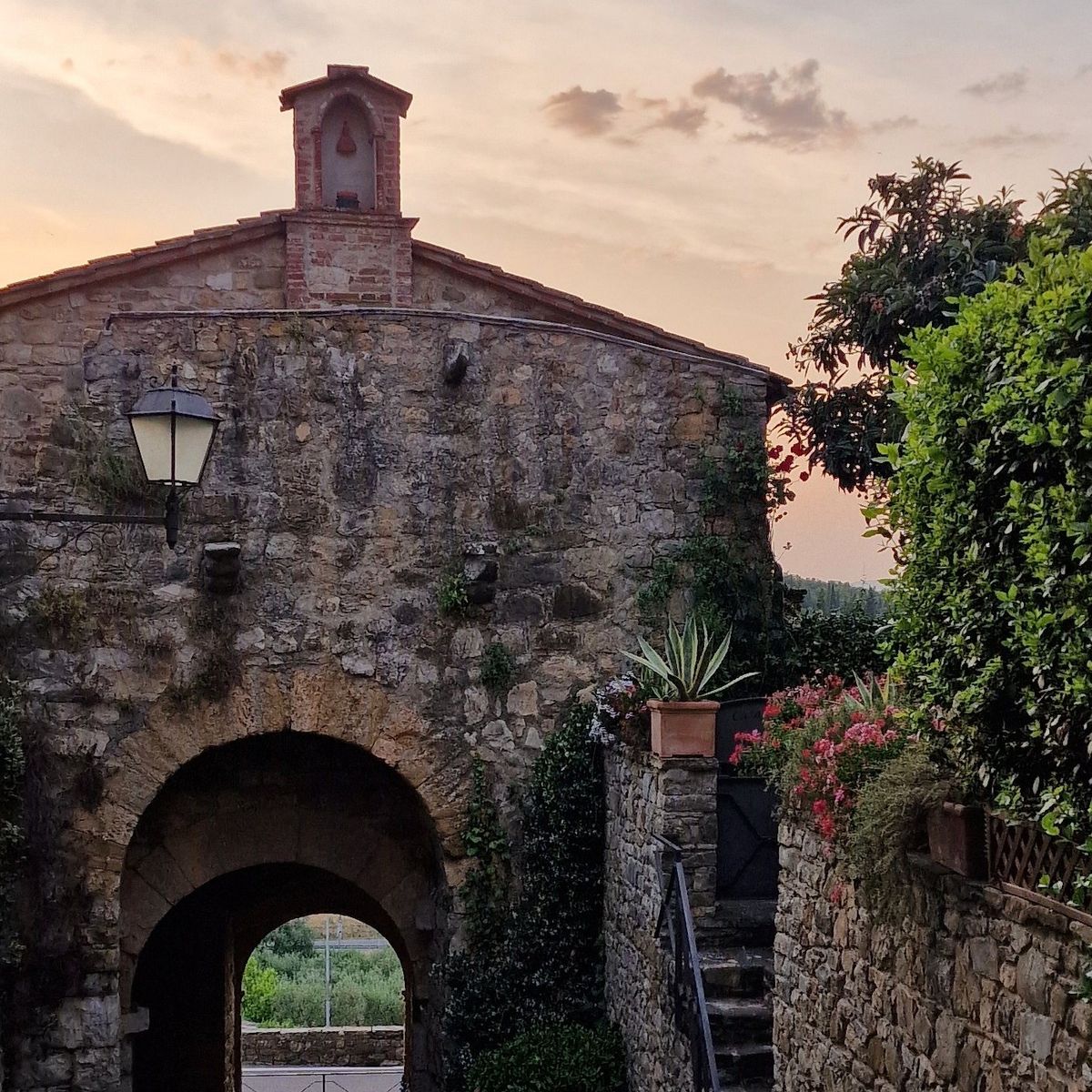 Tuscan Market-to-Table Cooking Experience & Wine Tasting