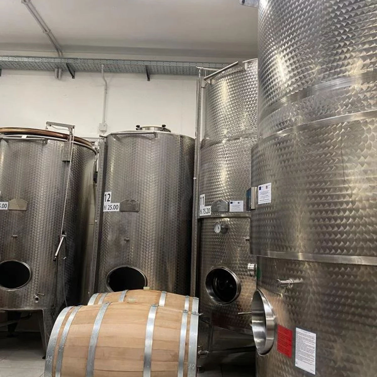 From Vineyard to Table: Wine Tasting and Gourmet Pizza Making in Rome