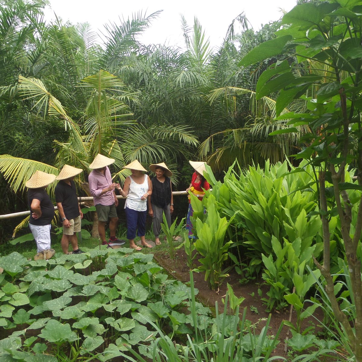 Full-Day Balinese & Indonesian Cooking Class with Market & Garden Tour