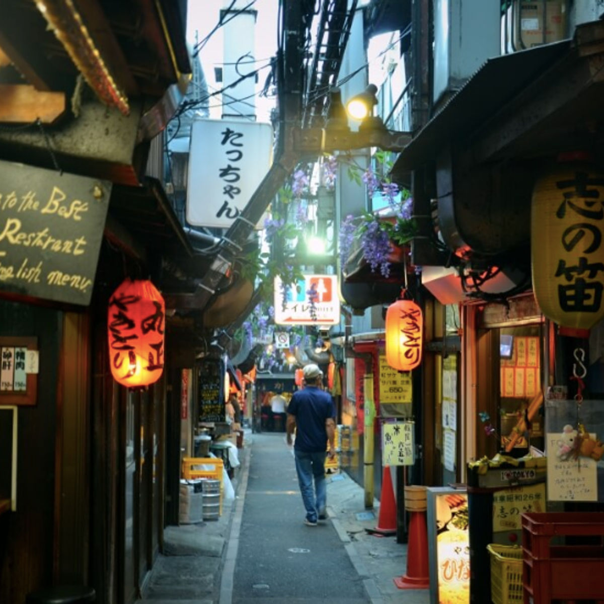 Golden Gai Food Tour in Shinjuku
